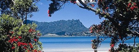 Mt_Manaia_Northland_New_Zealand.jpg