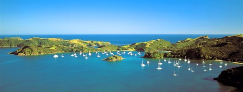 bay-of-islands-nz.jpg